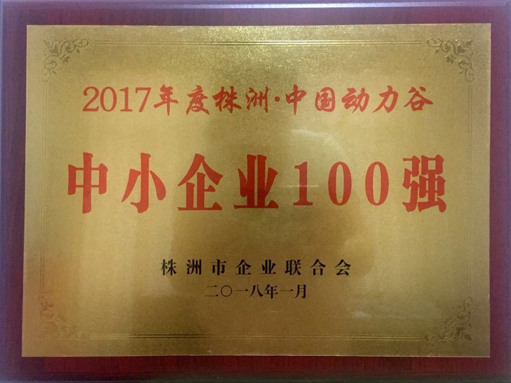 株洲中小企業100強證書